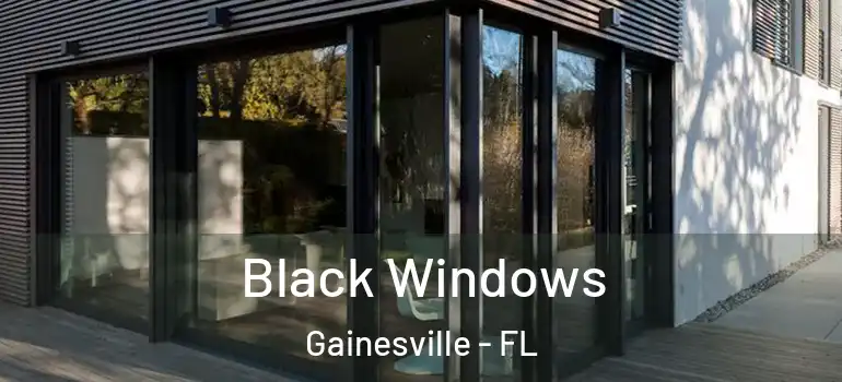  Black Windows Gainesville - FL