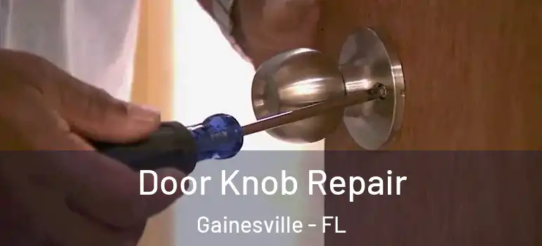  Door Knob Repair Gainesville - FL