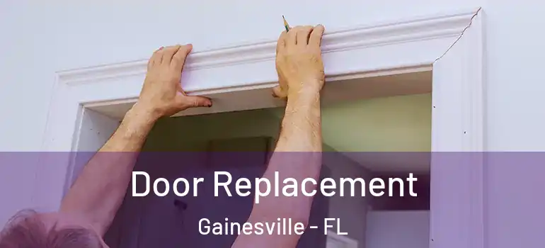  Door Replacement Gainesville - FL