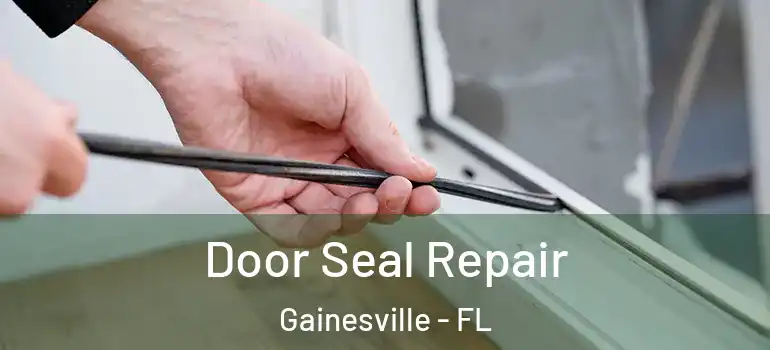  Door Seal Repair Gainesville - FL