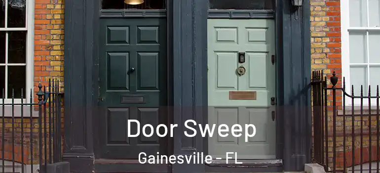  Door Sweep Gainesville - FL