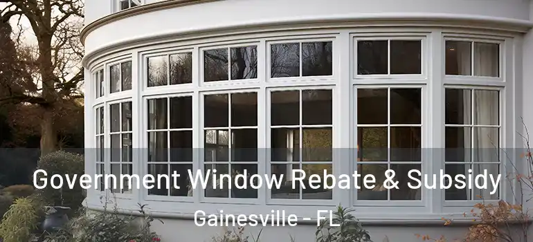  Government Window Rebate & Subsidy Gainesville - FL