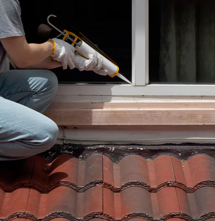 Roof Window Services in Gainesville, Florida