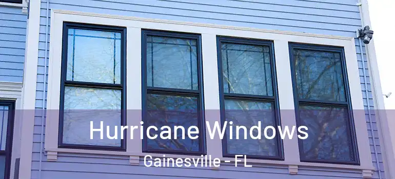  Hurricane Windows Gainesville - FL