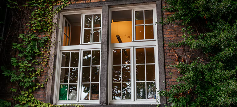Energy Efficient Wood Windows in Gainesville, FL