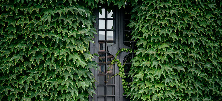 Garden Gate Repair in Gainesville, FL