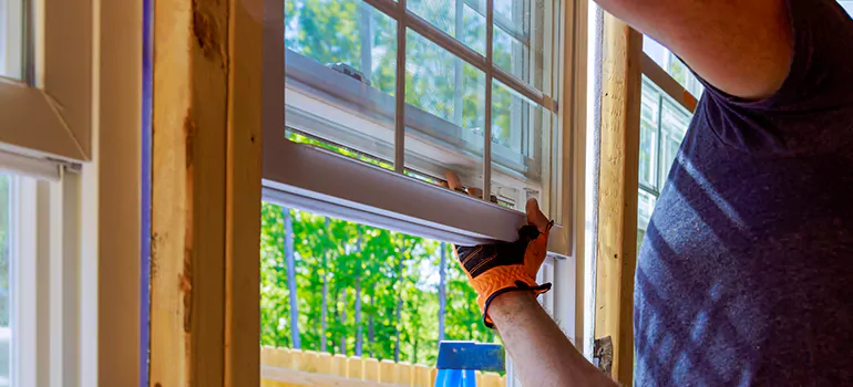Decorative Window Film Services in Gainesville, FL