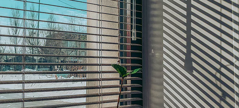 Commercial Window Blinds in Gainesville, FL