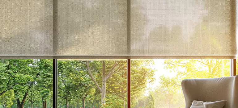 Custom Window Shades in Gainesville, FL