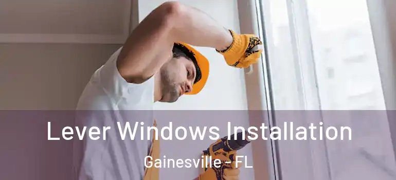  Lever Windows Installation Gainesville - FL