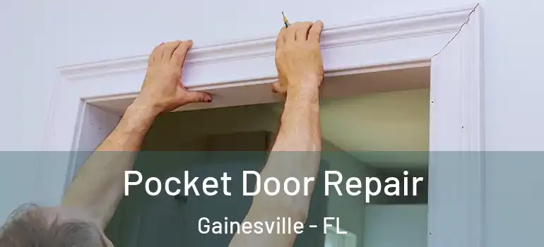  Pocket Door Repair Gainesville - FL