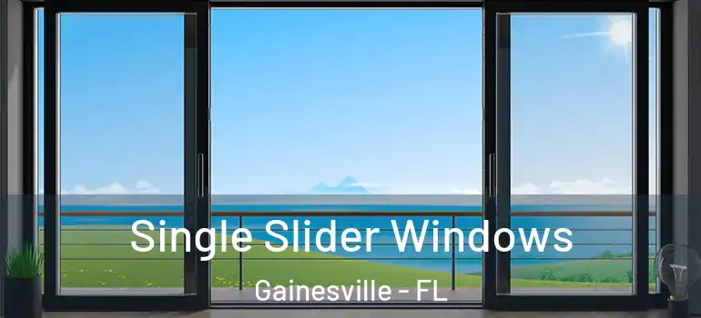  Single Slider Windows Gainesville - FL