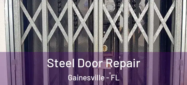  Steel Door Repair Gainesville - FL