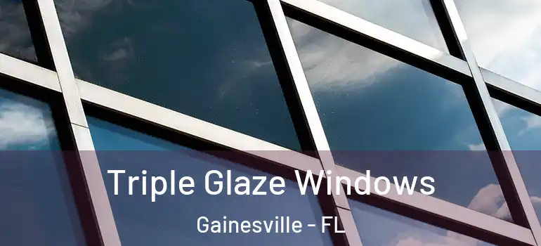  Triple Glaze Windows Gainesville - FL