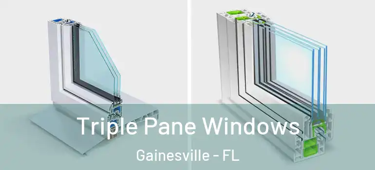  Triple Pane Windows Gainesville - FL
