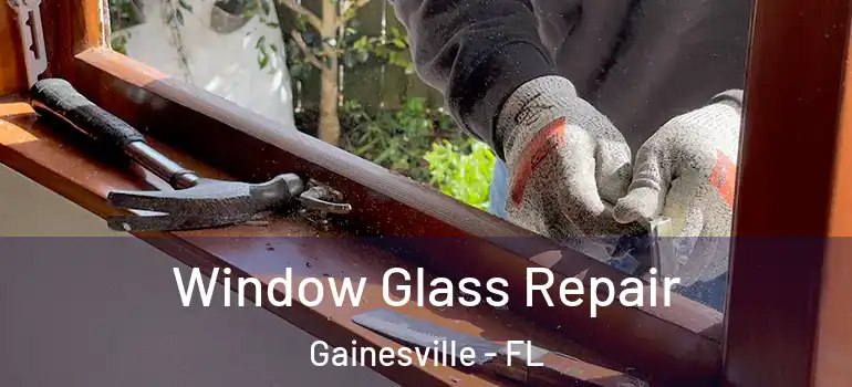  Window Glass Repair Gainesville - FL