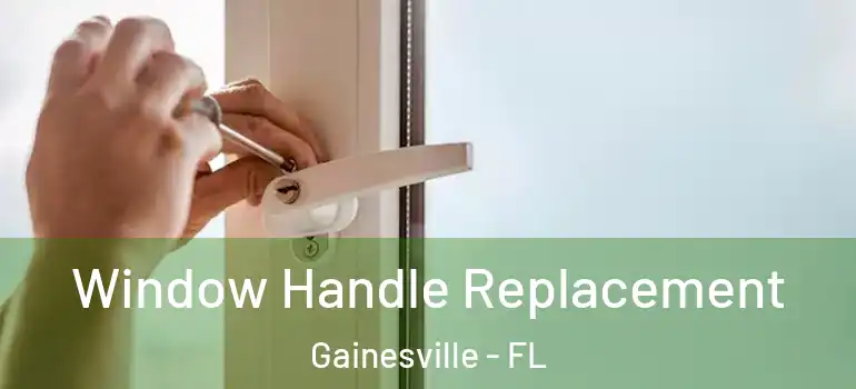  Window Handle Replacement Gainesville - FL