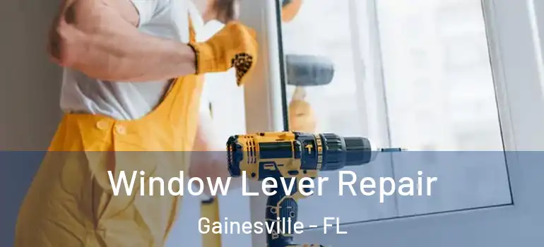  Window Lever Repair Gainesville - FL