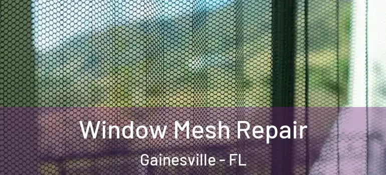  Window Mesh Repair Gainesville - FL