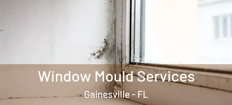  Window Mould Services Gainesville - FL