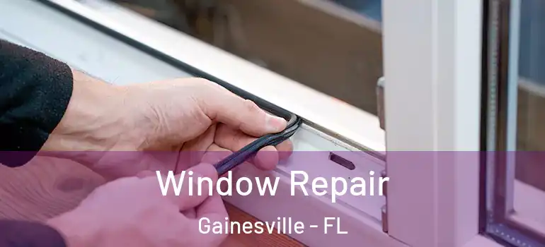  Window Repair Gainesville - FL