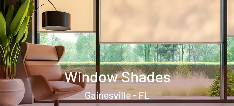  Window Shades Gainesville - FL