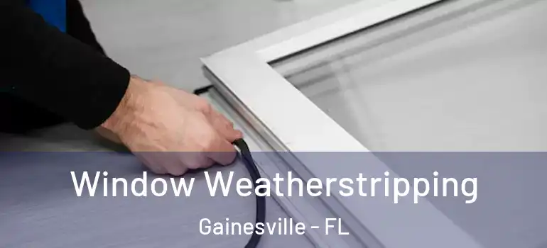  Window Weatherstripping Gainesville - FL
